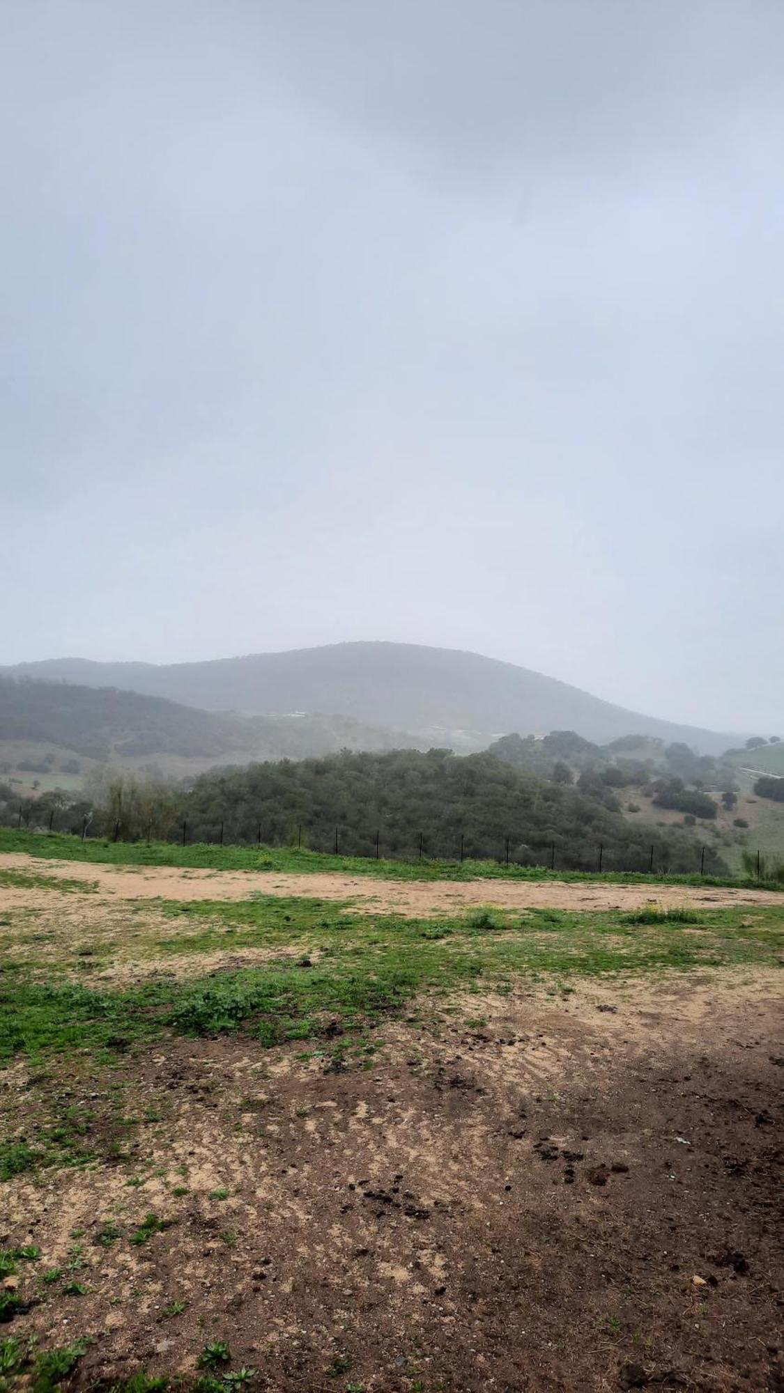 La Sierra Algar (Cadiz)